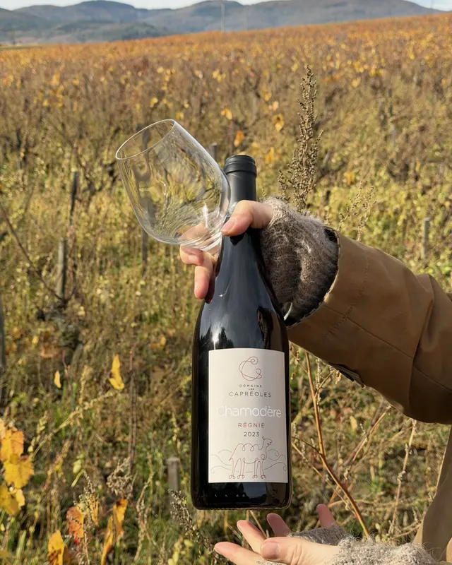 Régnié Chamodère, Domaine des Capréoles, à la carte